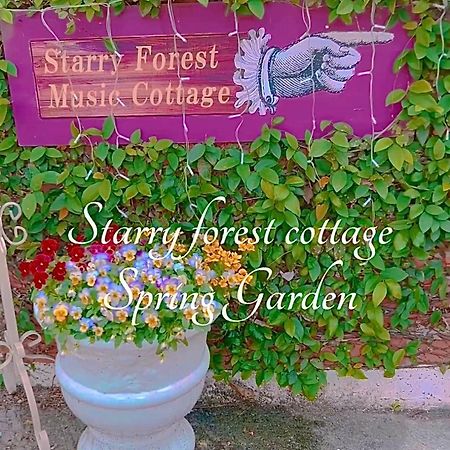 Cats,Piano & Starry Sky Resort Garden -Starry Forest Cottage Okinawa- Onna Extérieur photo