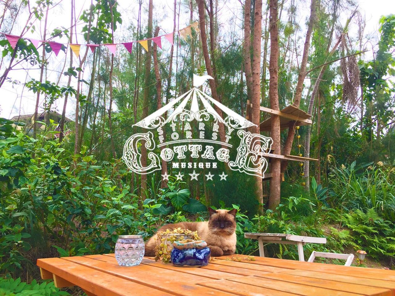 Cats,Piano & Starry Sky Resort Garden -Starry Forest Cottage Okinawa- Onna Extérieur photo